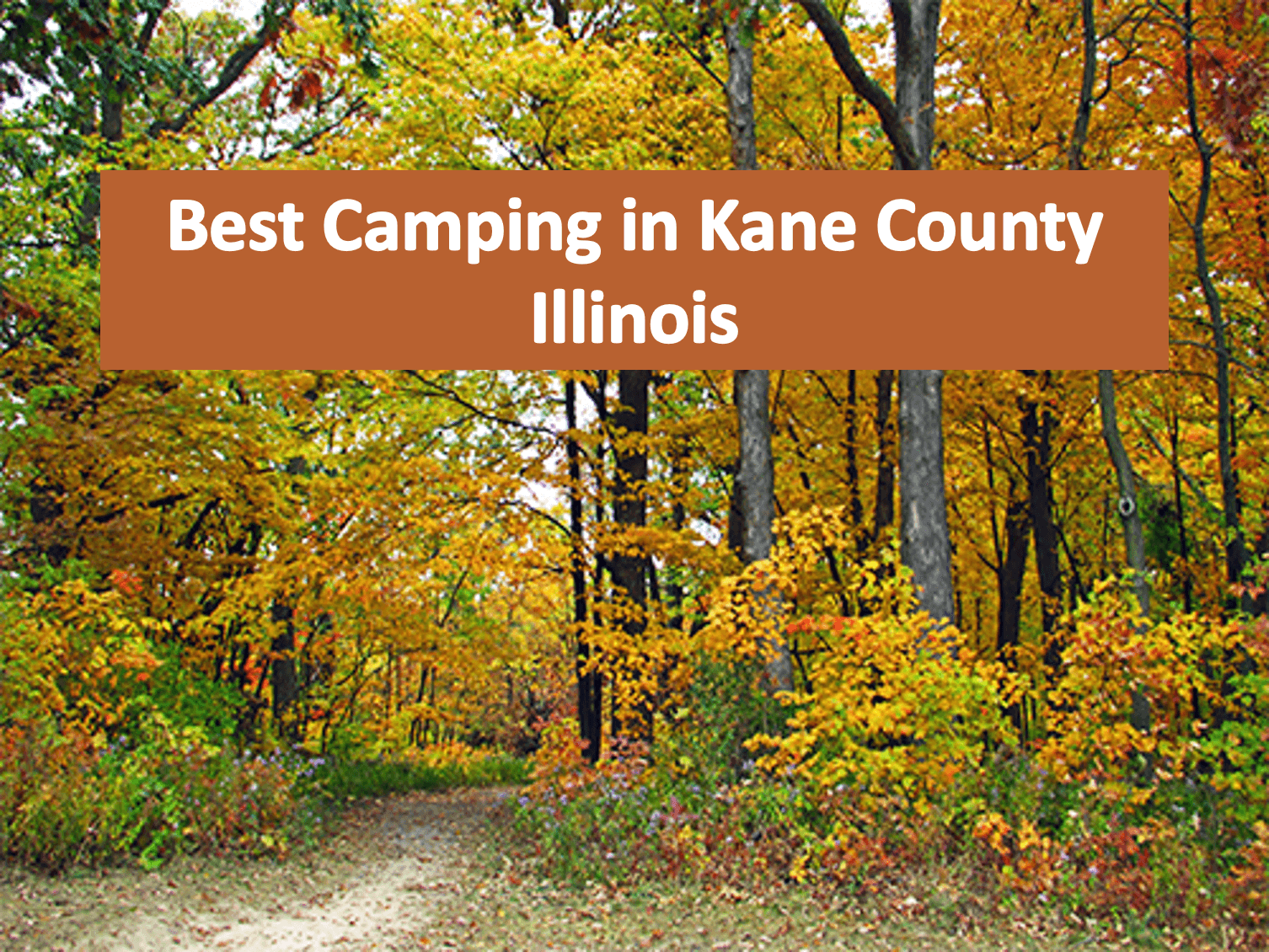camping-in-Kane-County