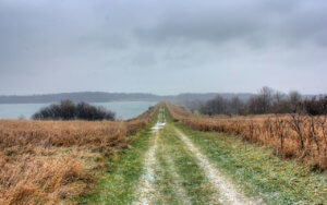 hiking in shabbona lake state park