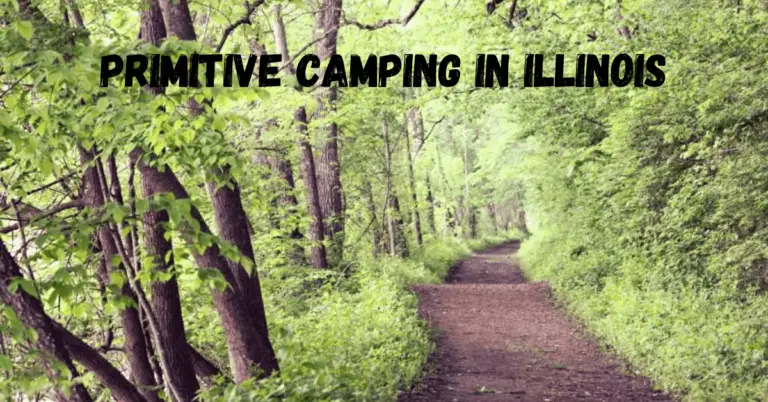 Primitive Camping Illinois